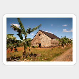 Tobacco house near Vinales in Cuba Sticker